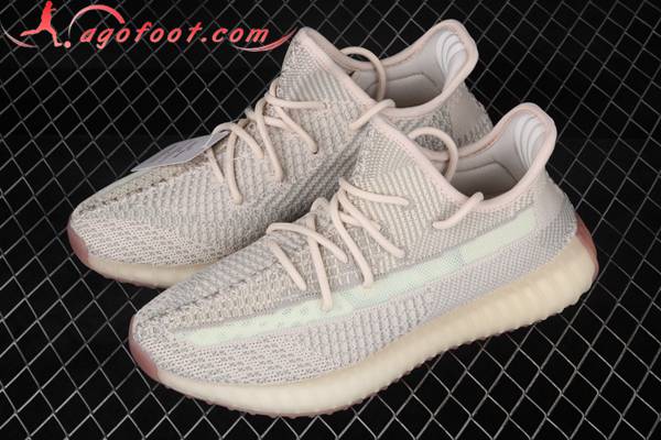 Adidas Yeezy 350 Boost V2 Gris FW3042