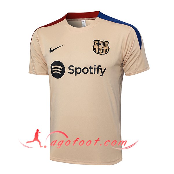 Training T-Shirts FC Barcelone Jaune 2024/2025