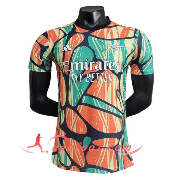 Training T-Shirts Arsenal Vert/Orange/Bleu/Jaune 2024/2025
