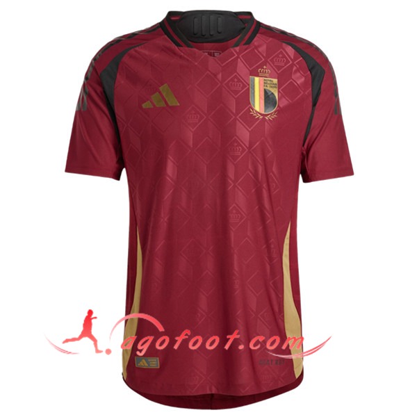 Nouveau Maillot Equipe Foot Belgique Domicile 2024/2025