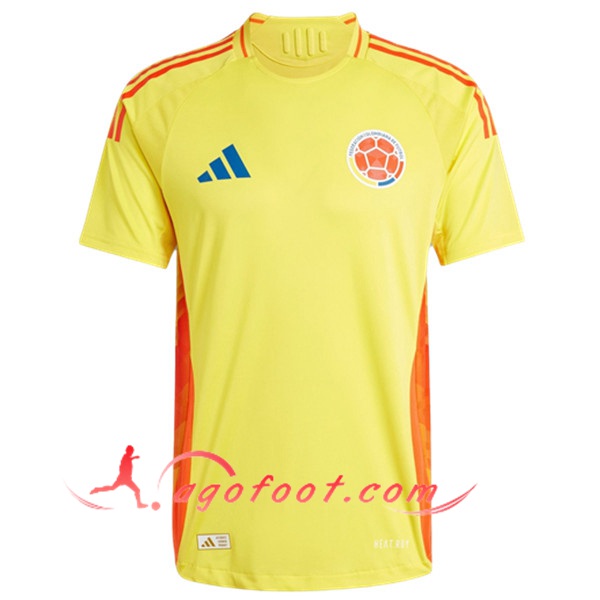 Maillot Equipe Foot Colombie Domicile 2024/2025