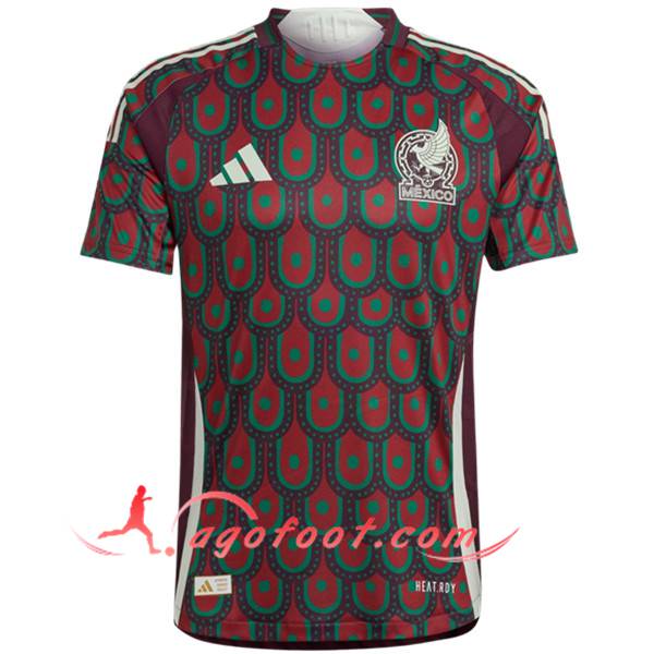 Nouveau Maillot Equipe Foot Mexique Domicile 2024/2025