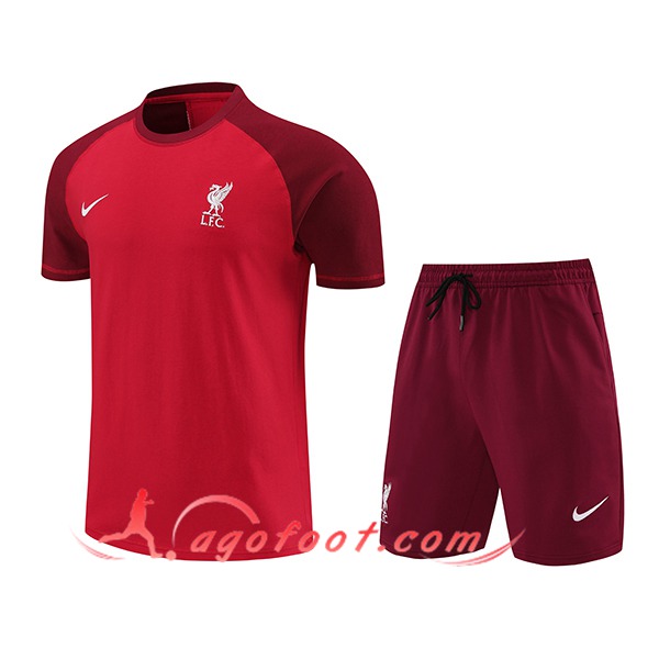 Ensemble Training T-Shirts + Shorts FC Liverpool Rouge 2024/2025