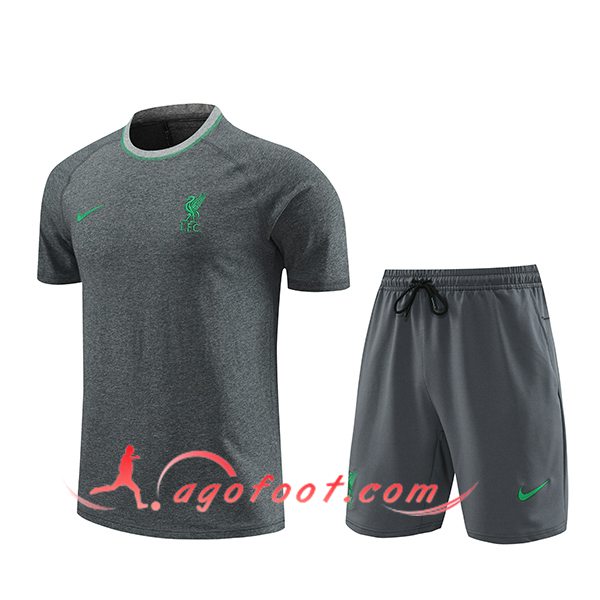 Ensemble Training T-Shirts + Shorts FC Liverpool Gris 2024/2025