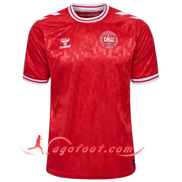 Maillot Equipe Foot Danemark Domicile 2024/2025