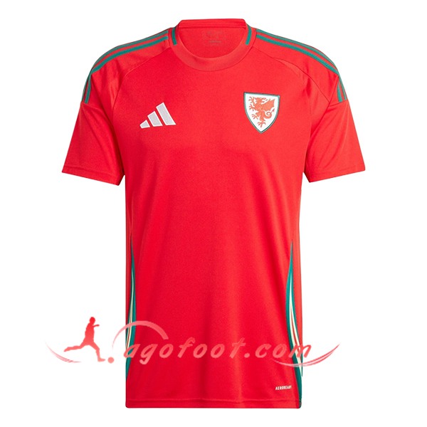 Maillot Equipe Foot Pays de Galles Domicile 2024/2025