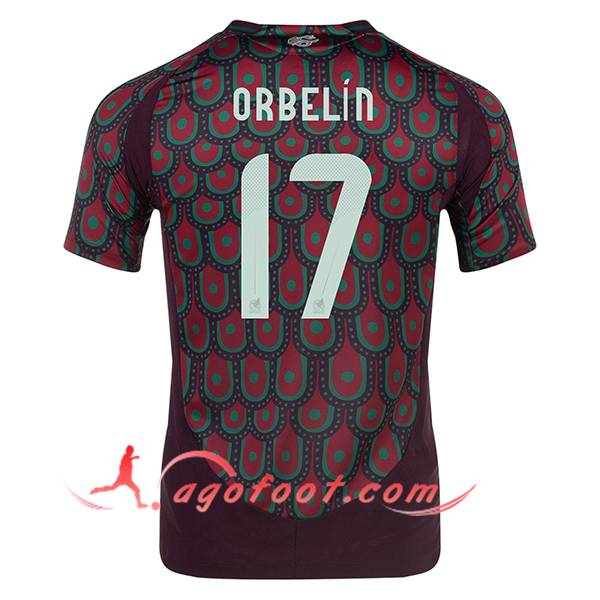 Maillot Equipe Foot Mexique (ORBELIN #17) 2024/2025 Domicile