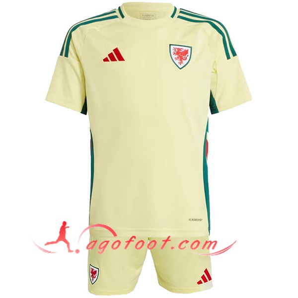 Maillot de Foot Pays de Galles Enfant Exterieur UEFA Euro 2024