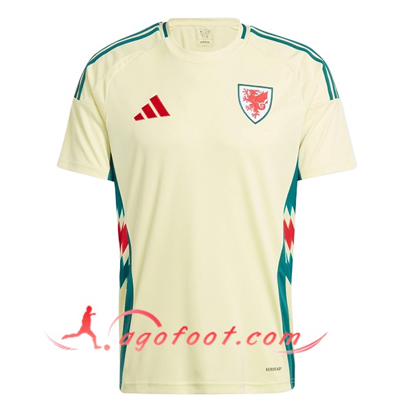 Maillot de Foot Pays de Galles Exterieur UEFA Euro 2024