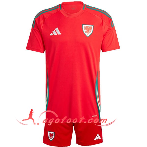 Maillot de Foot Pays de Galles Enfant Domicile 2024/2025