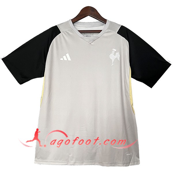 Training T-Shirts Atletico Mineiro Gris/Noir 2024/2025