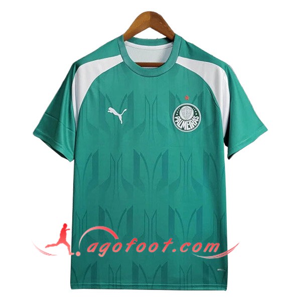 Training T-Shirts Palmeiras Vert/Blanc 2024/2025