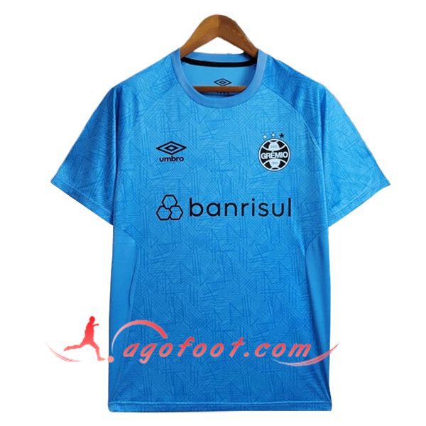 Training T-Shirts Gremio Bleu 2024/2025