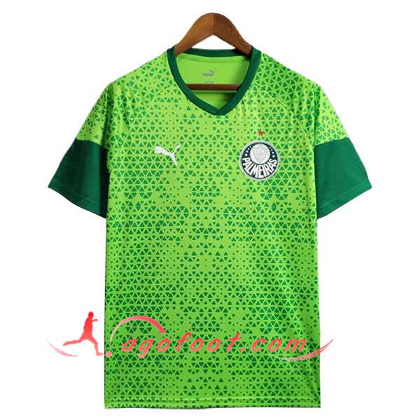 Training T-Shirts Palmeiras Vert 2024/2025