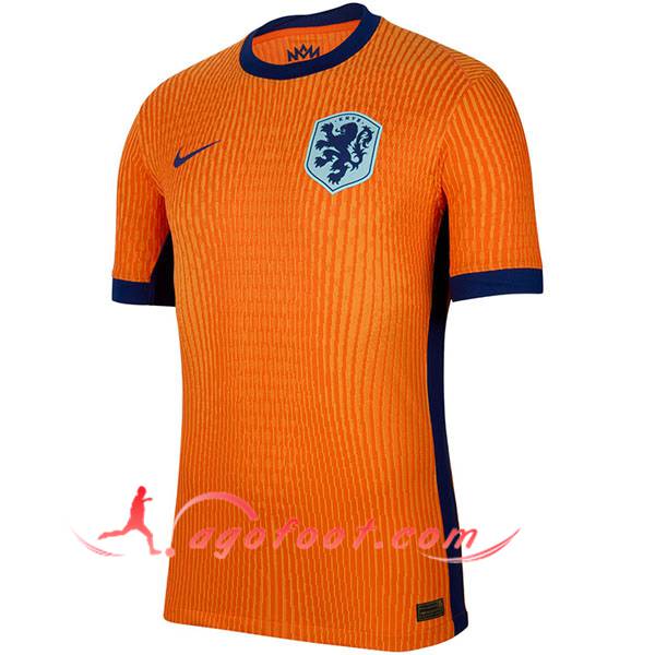 Nouveau Maillot Equipe Foot Pays-Bas Domicile 2024/2025