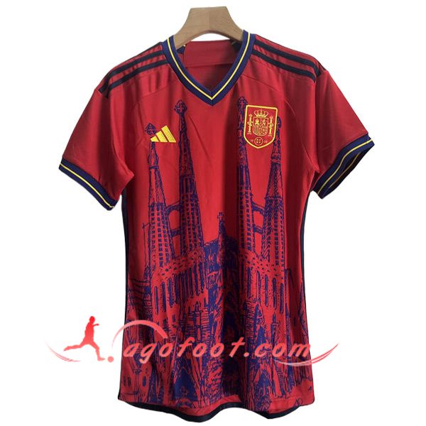 Maillot de Foot Espagne Special Edition UEFA Euro 2024