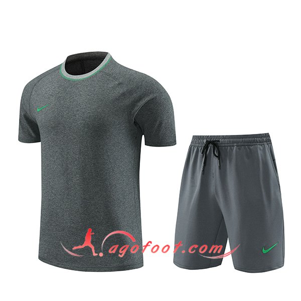Ensemble Training T-Shirts + Shorts Nike Gris 2024/2025