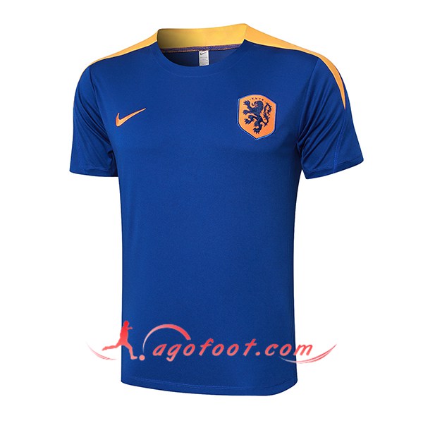 Training T-Shirts Pays-Bas Bleu/Jaune 2024/2025
