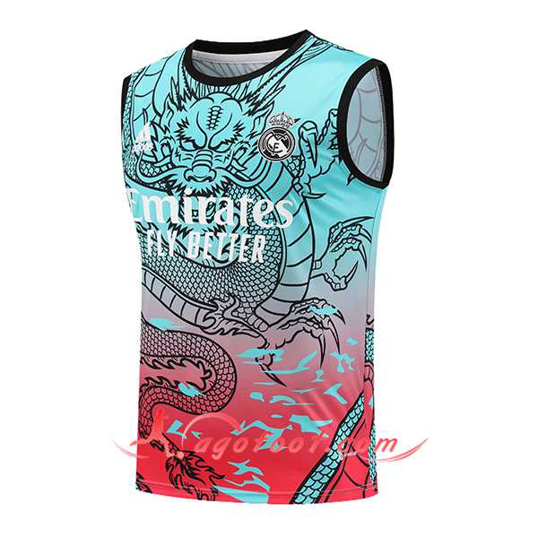 Training Debardeur Real Madrid Vert/Rouge 2024/2025