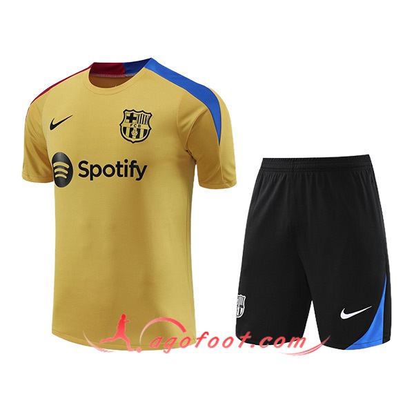 Ensemble Training T-Shirts FC Barcelone Jaune/Bleu/Rouge 2024/2025