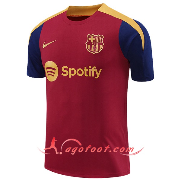 Training T-Shirts FC Barcelone Rouge/Jaune/Bleu 2024/2025