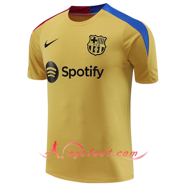 Training T-Shirts FC Barcelone Jaune/Bleu/Rouge 2024/2025