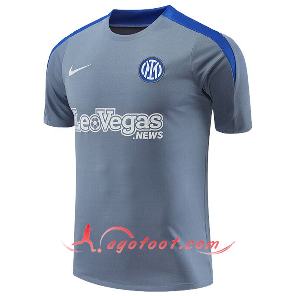Training T-Shirts Inter Milan Gris/Bleu 2024/2025