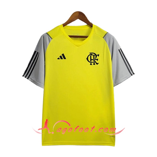 Training T-Shirts Flamengo Jaune/Gris 2024/2025