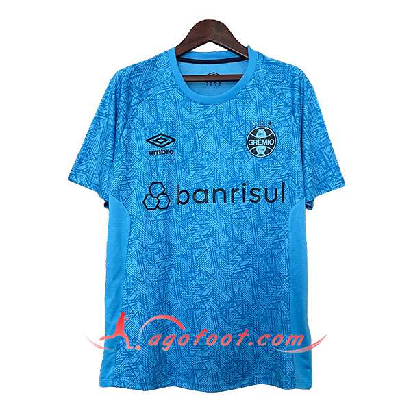 Maillot de Foot Gremio Gardien de But Bleu 2024/2025