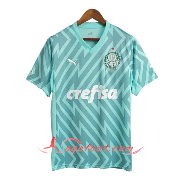 Maillot de Foot Palmeiras Gardien de But Vert 2024/2025