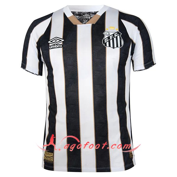 Maillot de Foot Santos Exterieur 2024/2025