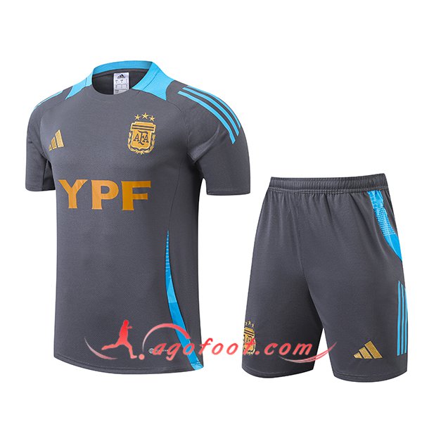 Training T-Shirts Argentin Gris/Bleu 2024/2025