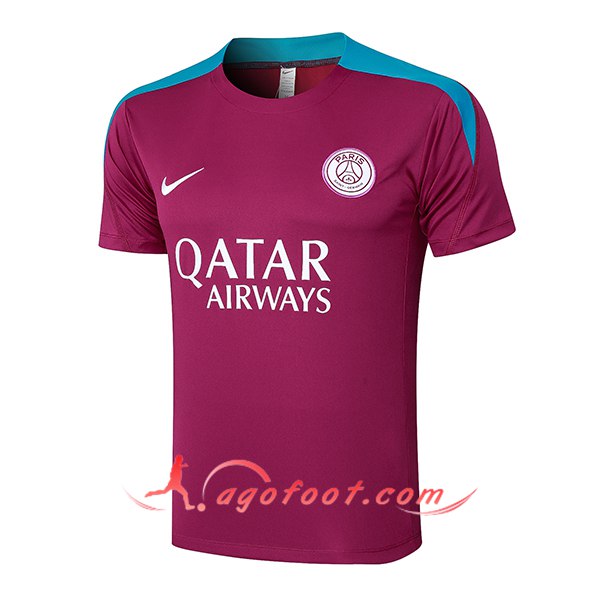 Training T-Shirts PSG Pourpre/Bleu 2024/2025