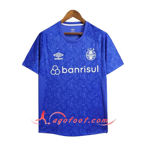Training T-Shirts Gremio Bleu 2024/2025