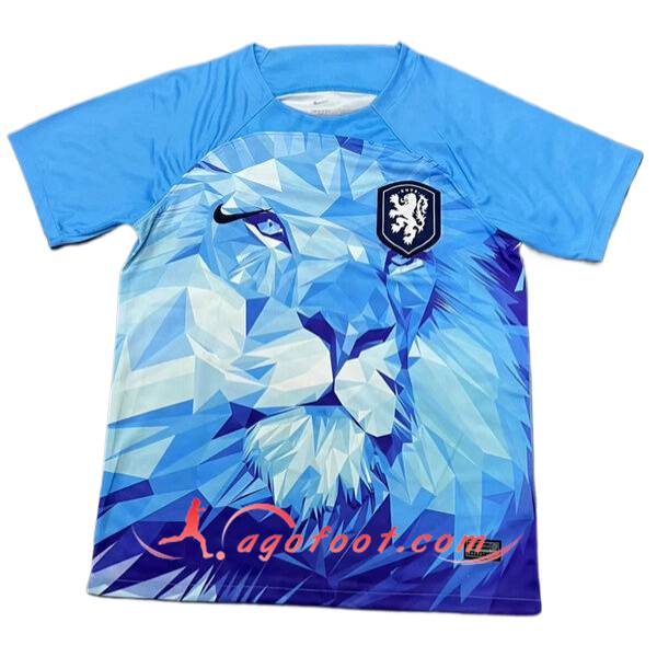 Maillot Equipe Foot Pays-Bas Special Version Bleu 2024/2025