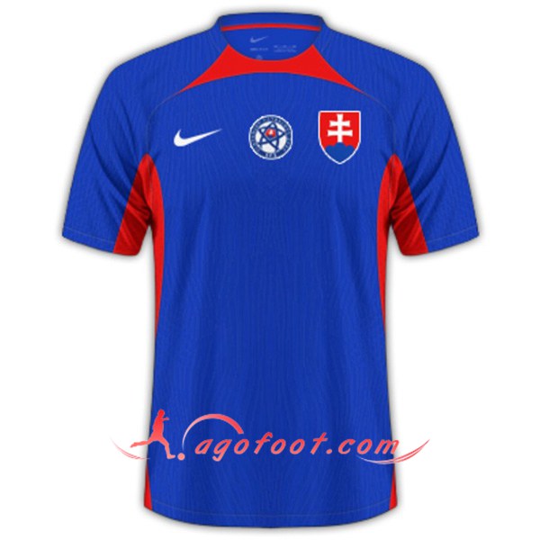 Maillot de Foot Slovaquie Domicile UEFA Euro 2024