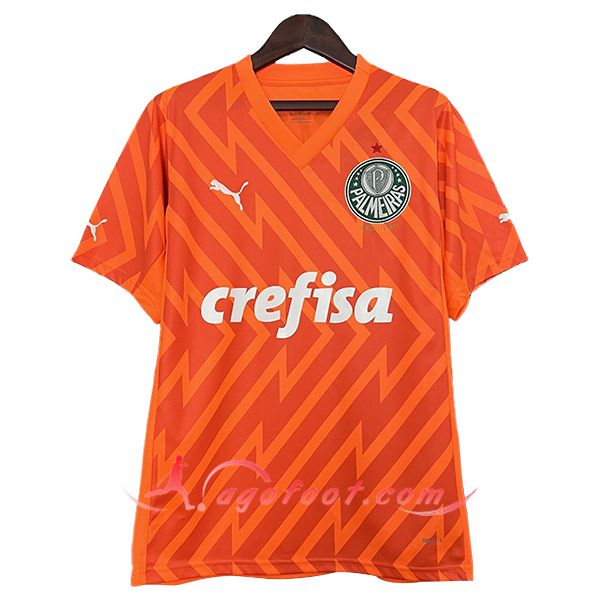 Maillot de Foot Palmeiras Gardien de But Orange 2024/2025