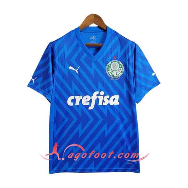 Maillot de Foot Palmeiras Gardien de But Bleu 2024/2025