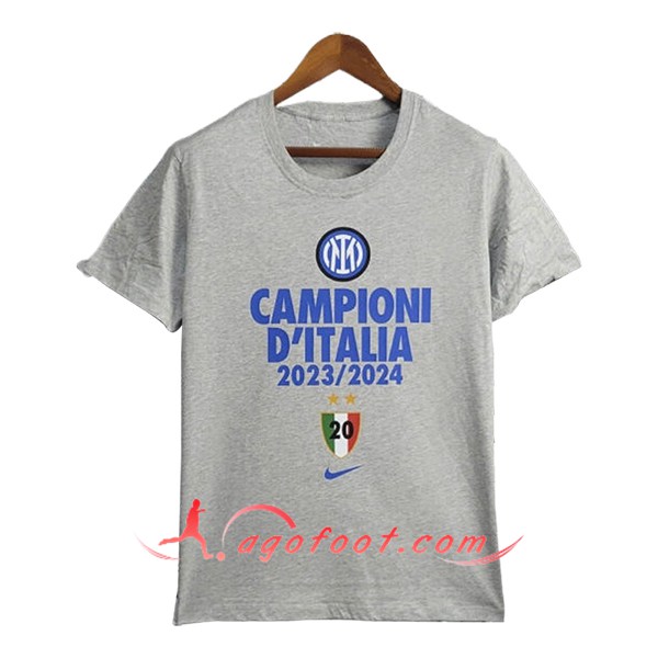 Maillot de Foot Inter Milan T-Shirt Champion Gris 2023/2024