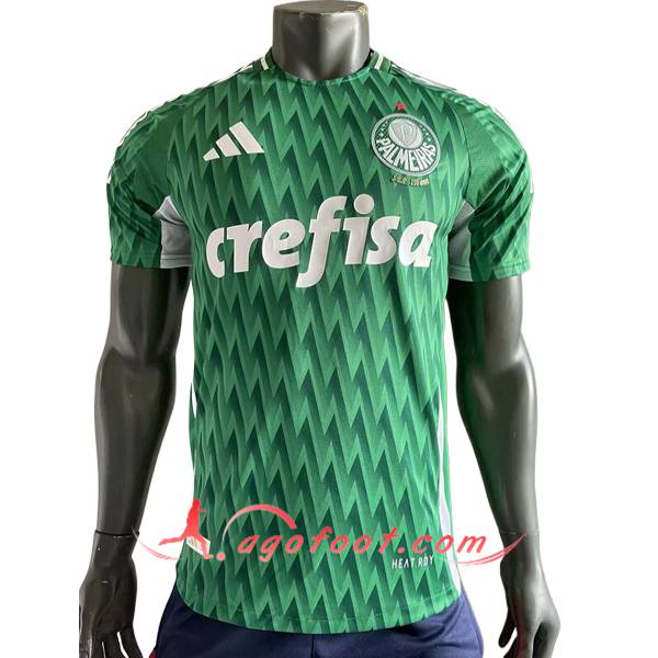 Maillot de Foot Palmeiras Special Edition Vert 2024/2025