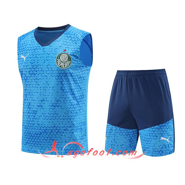 Ensemble Training Debardeur Palmeiras Bleu 2024/2025
