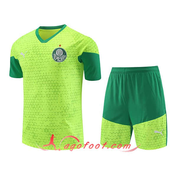 Ensemble Training T-Shirts Palmeiras Vert/Jaune 2024/2025
