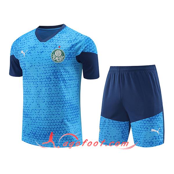 Ensemble Training T-Shirts Palmeiras Bleu 2024/2025