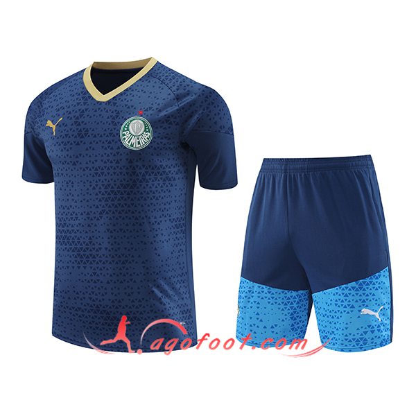 Ensemble Training T-Shirts Palmeiras Bleu Marine 2024/2025