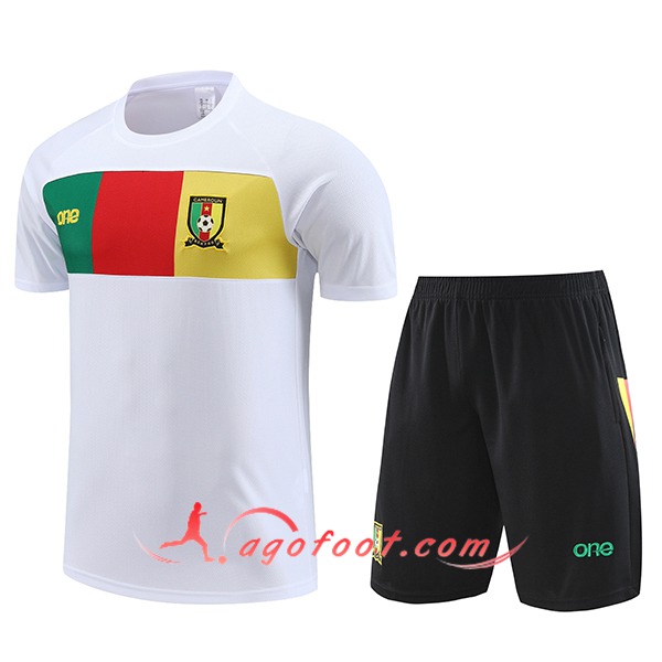 Ensemble Training T-Shirts Cameroun Blanc 2024/2025
