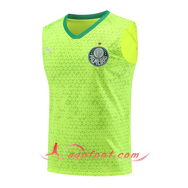 Training Debardeur Palmeiras Vert/Jaune 2024/2025