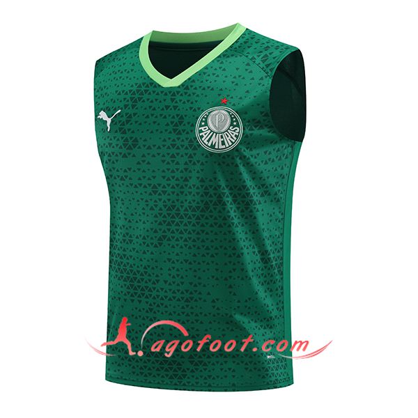 Training Debardeur Palmeiras Vert 2024/2025
