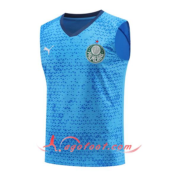 Training Debardeur Palmeiras Bleu 2024/2025