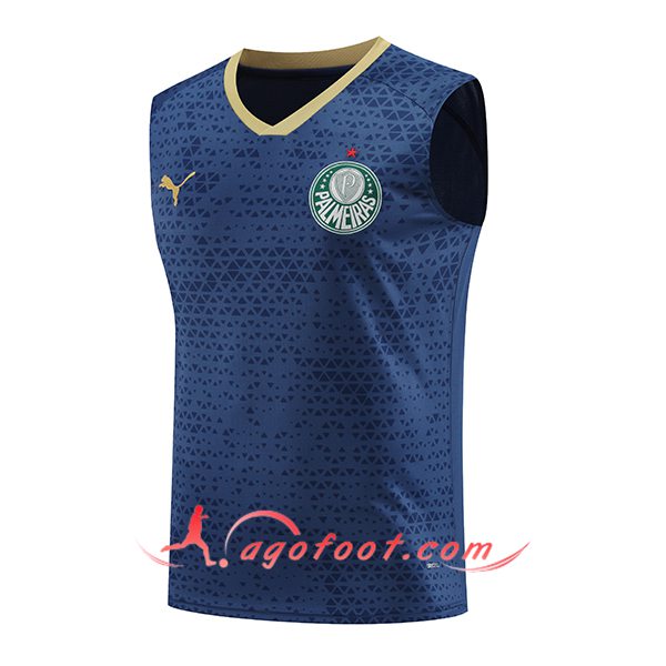 Training Debardeur Palmeiras Bleu Marine 2024/2025