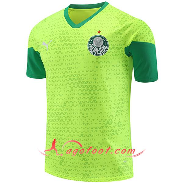 Training T-Shirts Palmeiras Vert/Jaune 2024/2025